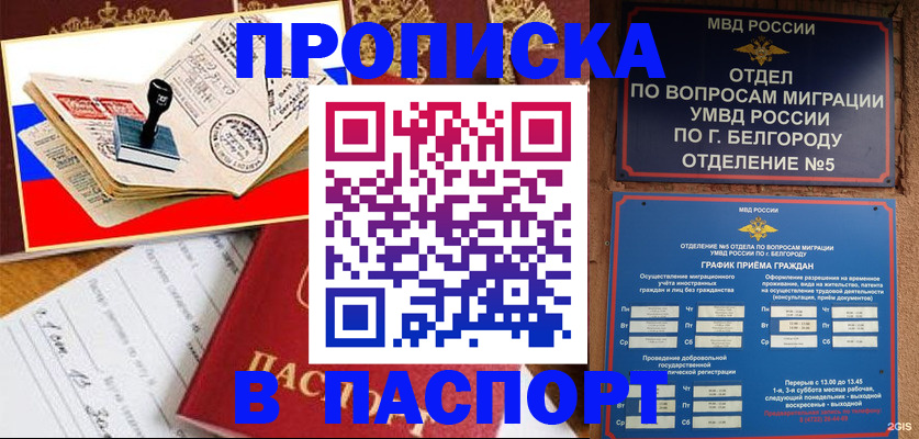 временная регистрация для всех в Камышине